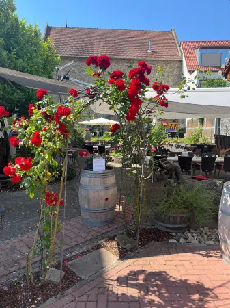 Gastehaus Schmitt Und Tacheles Landrestaurant Отели в г. Вестхофен