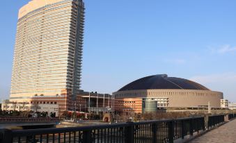 1. 하카타 그린 호..