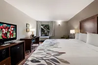 Red Roof Inn Newport News - Yorktown Hotels in York County
