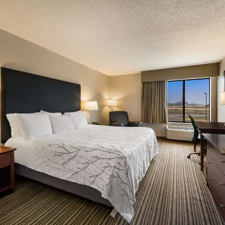 Best Western Park Oasis Inn