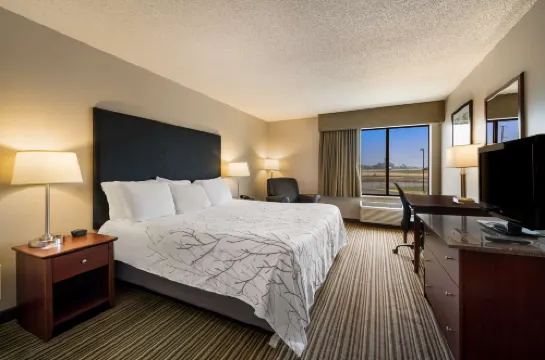 Best Western Park Oasis Inn