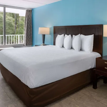 Travelodge by Wyndham Kingsland GA Отели в г. Кингсленд