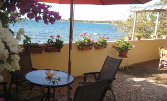 Le Cactus Guesthouse