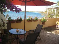 Le Cactus Guesthouse Hotels in Port Louis