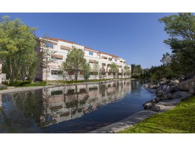 ホテル周辺 小谷流の里 ドギーズアイランドの写真