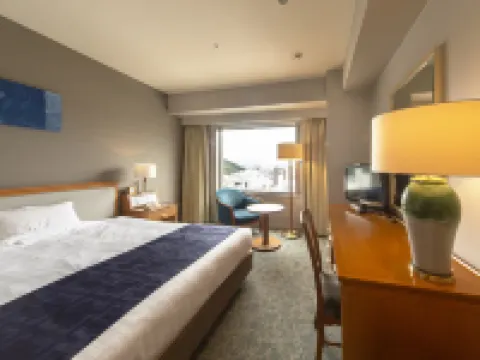Jr Hotel Clement Tokushima Hotels in Tokushima City