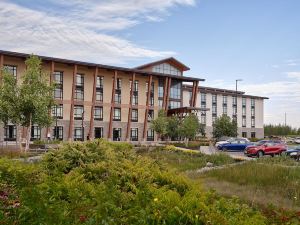 Great Blue Heron Hotel