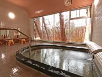 Masuya Ryokan - con terme