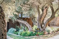 Holiday Park Olive Tree