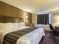 Rodeway Inn Hotels in Wacouta Township