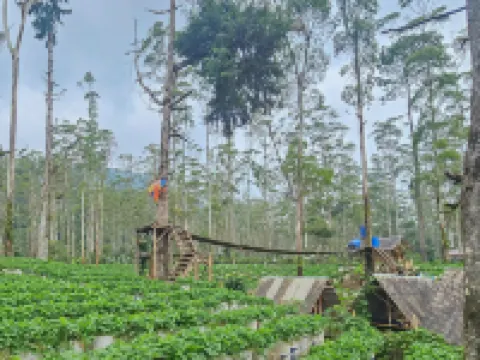 Cigadog Residence RedPartner Hoteles en Ciwidey