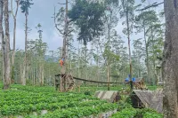 Cigadog Residence RedPartner Hotels in Ciwidey