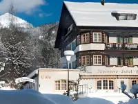 Alpenrose Bayrischzell Hotel Hotels near Rotwand