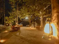 Kanha Jungle Resort - A Jungle Tales' Experience Hotels in Manjitola