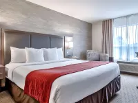 Comfort Inn & Suites Airport South โรงแรมในคาลการี