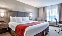 Comfort Inn & Suites Airport South Hotels in Calgary