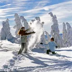 Enjoy your holiday in the contemplative Böbrach in ArberLand near Bodenmais. Hotel a Bobrach