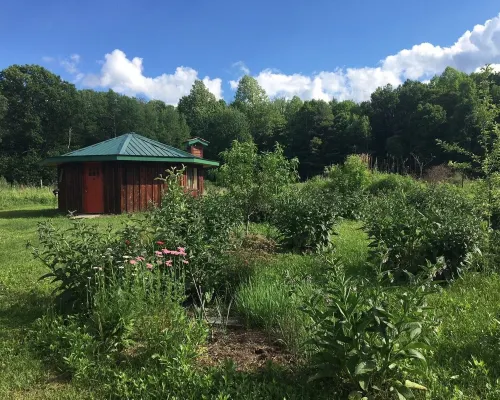 Cozy, Artistic Retreat Surrounded By Waterfalls, Orchards And Gardens Hotels in Newfield