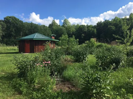 Cozy, Artistic Retreat Surrounded By Waterfalls, Orchards And Gardens