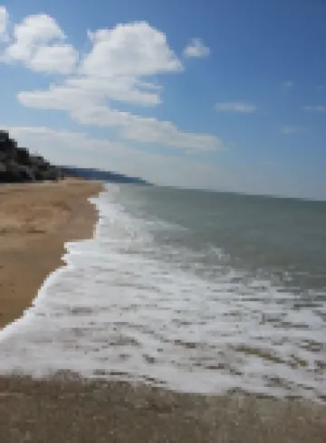 MY LITTLE GARDEN - Garden - Free parking 600m - La Clé de Honfleur