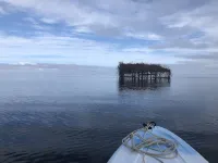 Soundfront Sunsets with Private Dock, Kayaks, Large Pool, Hot Tub, Guesthouse