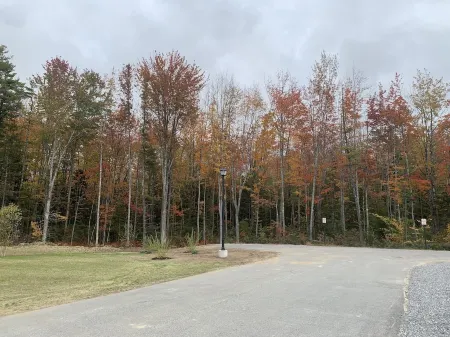 Large suite/private bath/private entrance on quiet street near Thomas Pt. Beach