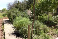 Lodging Can Vicent Mestre without air conditioning Hotels near Platja de Migjorn