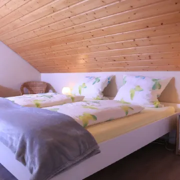 Beautiful top floor apartment surrounded by vineyards