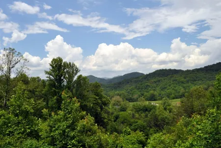 Deer Country Vacation Cabins #2 - Long Range View, Dogs Friendly