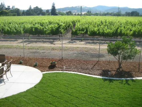 Vineyard Views in the Heart of the Napa Valley