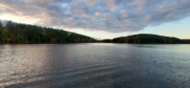 Charming Cabin in Leesville Lake's Best Community. Complimentary Kayaks. Hotels in Carroll County