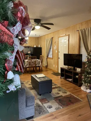 1 Playful Cub-Great Unbelievable Rates, Check it Out