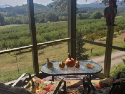 Mountain view cabin, fully remodeled, huge screen in porch with panoramic view. Hotels in Cowee