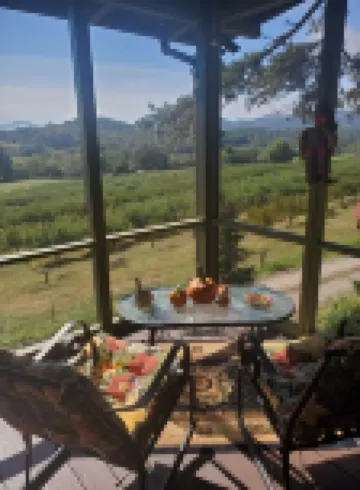Mountain view cabin, fully remodeled, huge screen in porch with panoramic view.