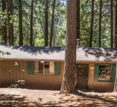 The Little Cabin in the Pines!