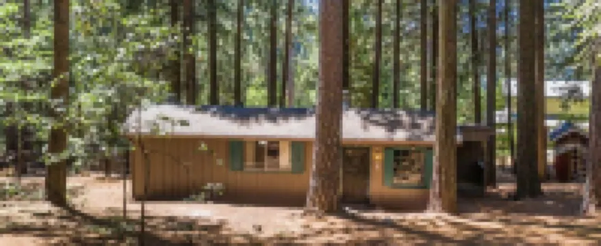 The Little Cabin in the Pines!