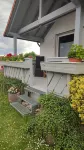 Schöne Wohnung Mitten in Rheinhessen