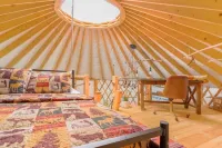 Magical Riverside Yurt, hot tub & the BRPW, pet friendly near Floyd, Va
