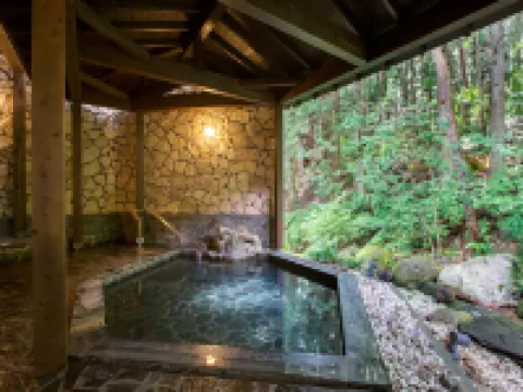 Komagane Kogen Resort Linx