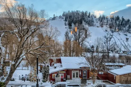 Luxury Condo within walking distance to all the restaurants, shopping and bars.