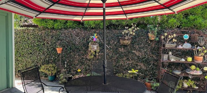 Charming garden Hideaway apartment in Belmont Heights. Abundant outdoor seating. Ξενοδοχεία στην πόλη Long Beach