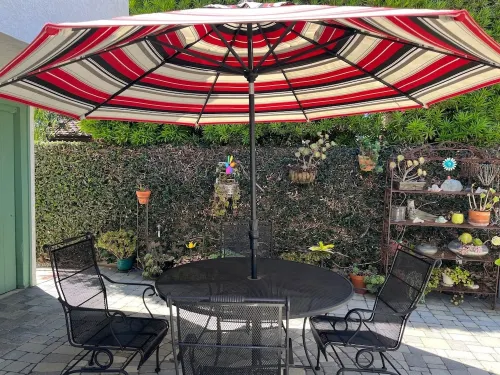 Charming garden Hideaway apartment in Belmont Heights. Abundant outdoor seating.