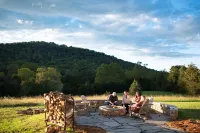 New! Secluded Farmhouse + Solar Heated Pool + Firepit