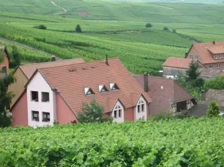 Gîte Chez Le Vigneron for 4 people