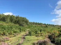 Wich Hazel a rural retreat for two