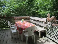 Cabin on 4 Acres Near Elk Mountain/Dogs OK/Easy Drive from Philly and NYC