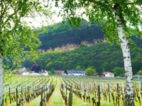 Idyllic Holiday Home in the Palatinate Forest
