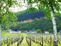 Idyllic Holiday Home in the Palatinate Forest