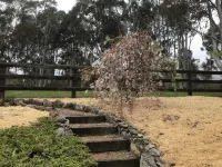 Megalong Valley, home of the mill