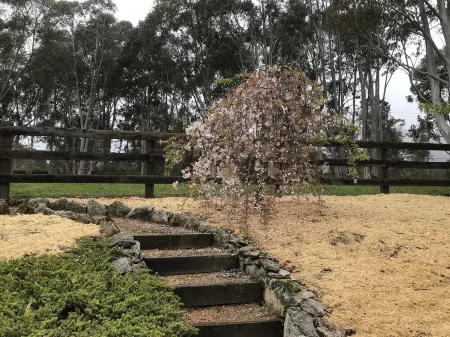 Megalong Valley, home of the mill